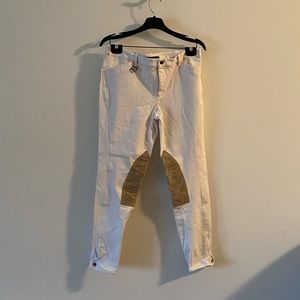 Ralph Lauren Riding Pants